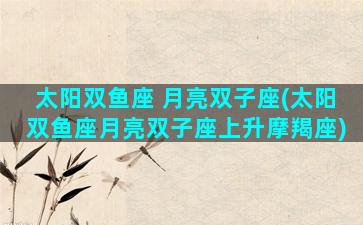太阳双鱼座 月亮双子座(太阳双鱼座月亮双子座上升摩羯座)